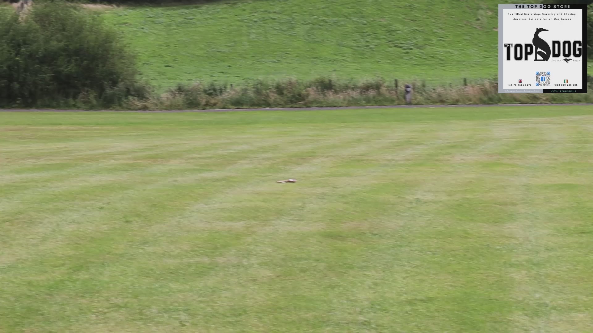 150m Drag Lure Machines Dog Toys UK Ireland EU Teragram Premier